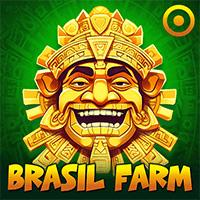 Brazil Farm